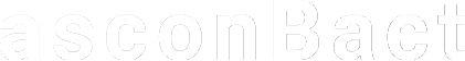 Image 7@2x